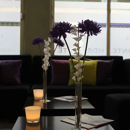 Horizonte * 산타크루스데 테네리페