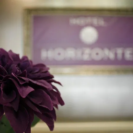 מלון Horizonte *