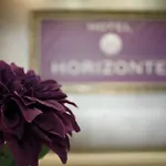 Hotel Horizonte *